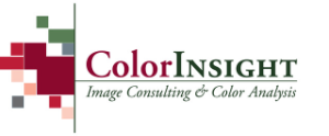 Color insight business logo